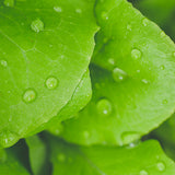 1 masque hydratant acheté = 4 offerts — visuel 4